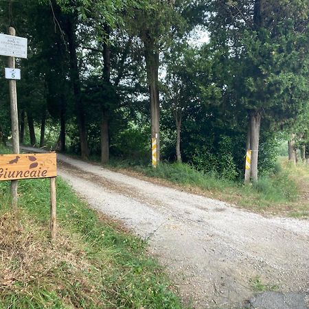 Le Giuncaie - Vigna Con Alloggio Монтескудайо Экстерьер фото