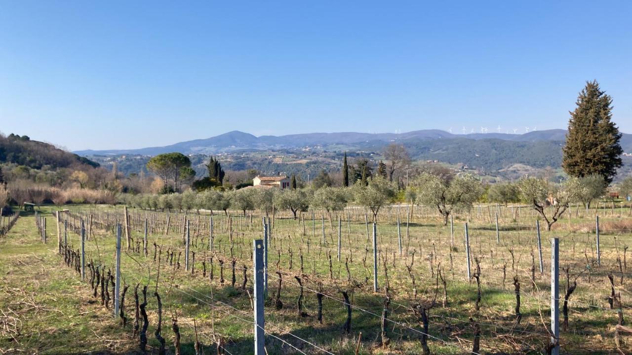 Le Giuncaie - Vigna Con Alloggio Монтескудайо Экстерьер фото