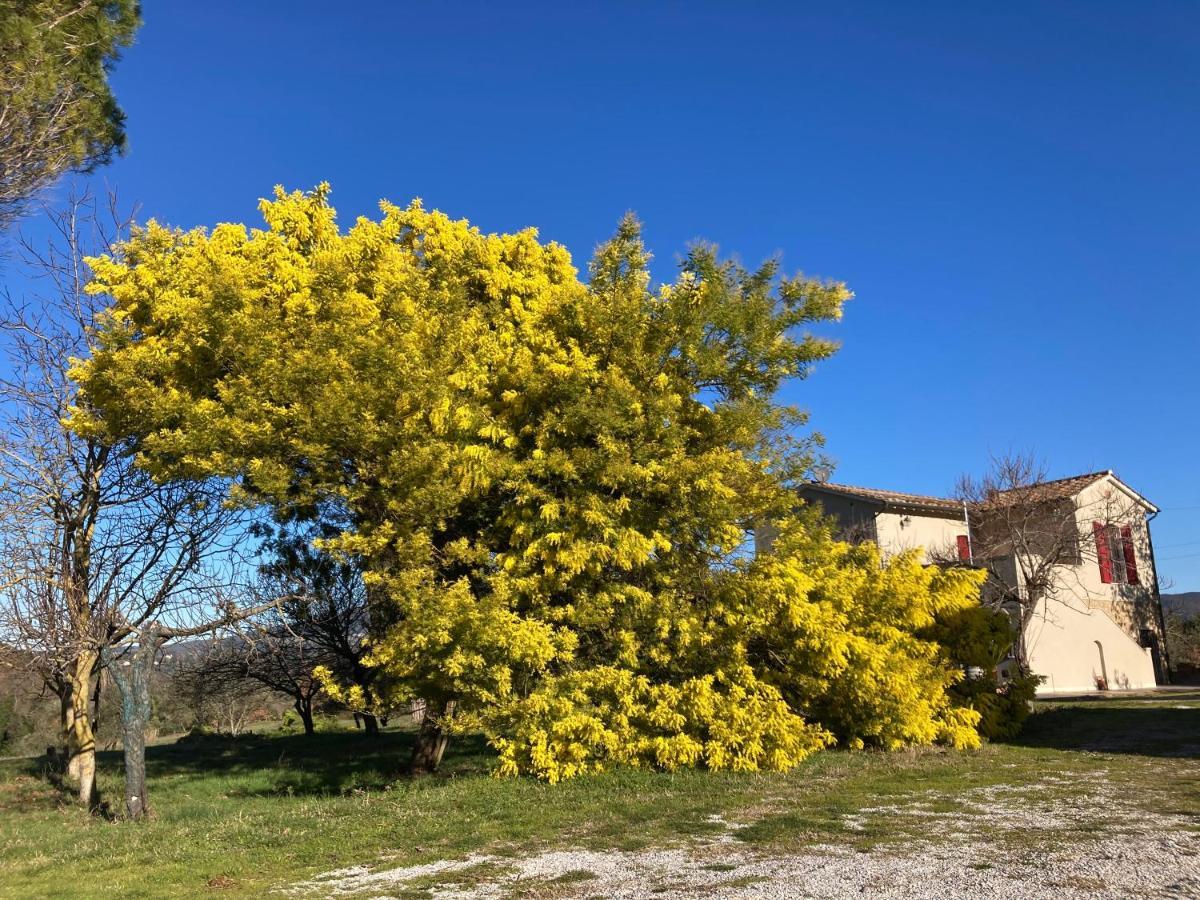 Le Giuncaie - Vigna Con Alloggio Монтескудайо Экстерьер фото